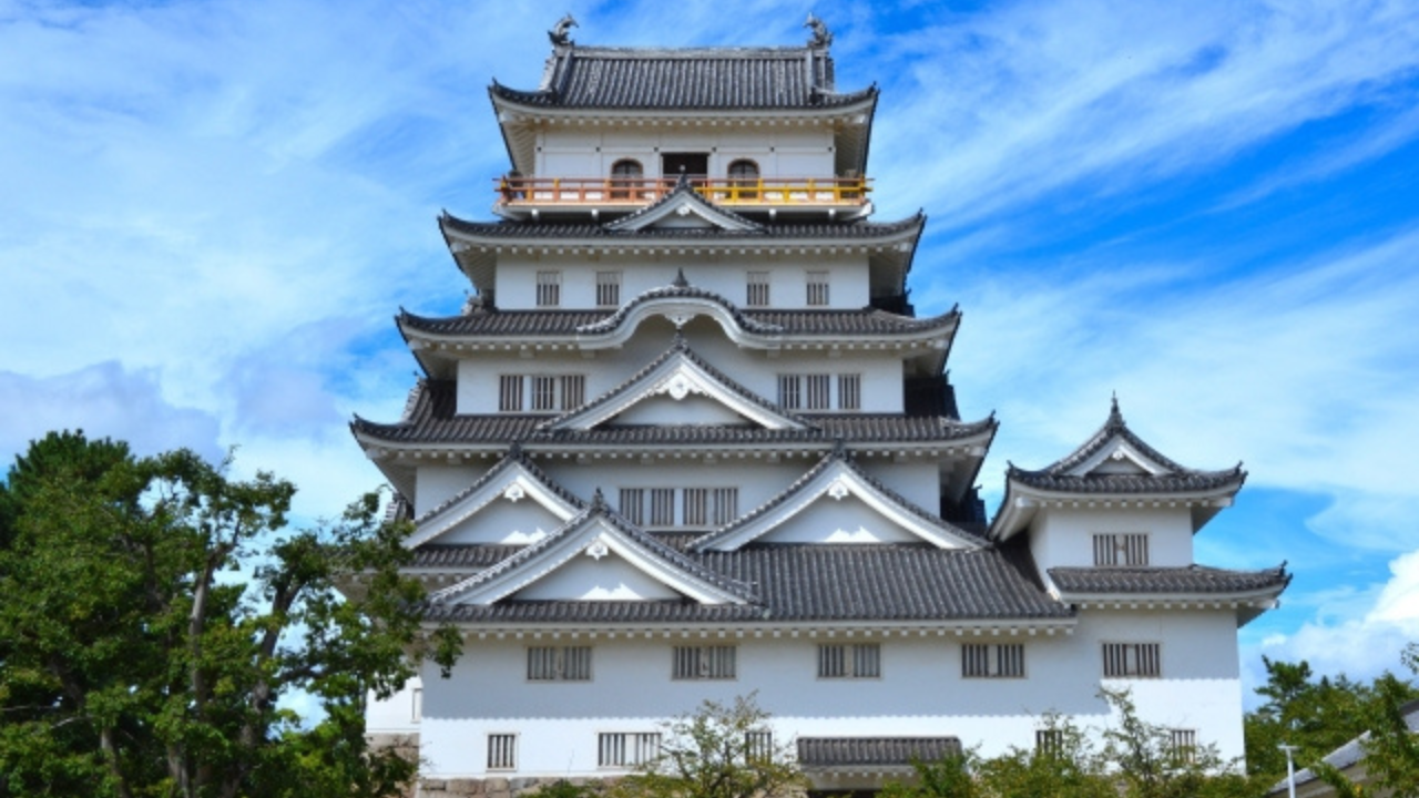 採用情報